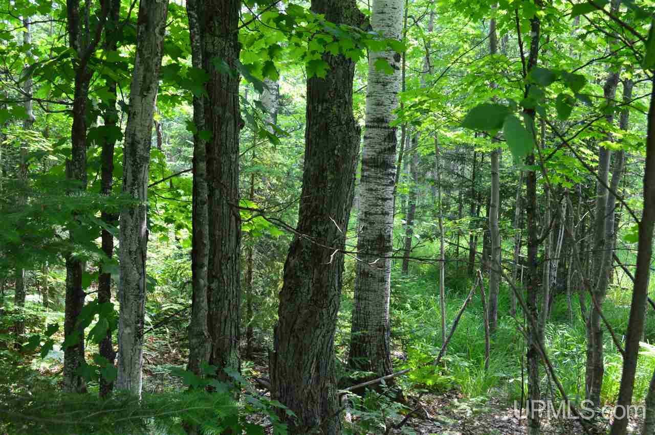 Tbd Herman Road Lanse, MI 49946 - Photo 16 of 50 Gallery Image 16