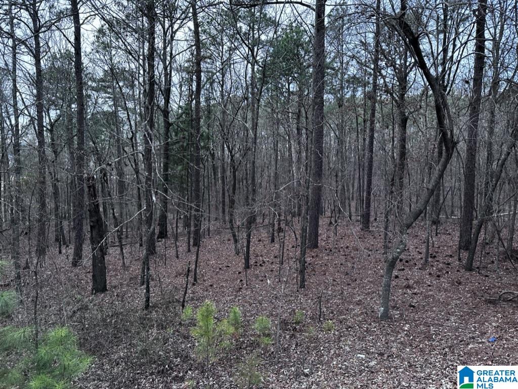 Lot 5 Constellation Avenue, Unit 5 Alpine, AL 35014 - Photo 4 of 16