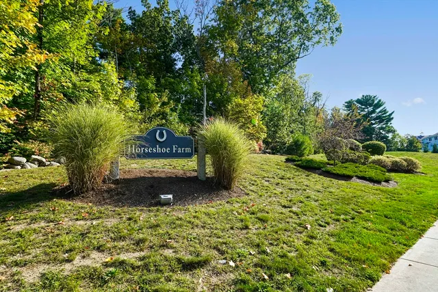 a view of a garden with large trees