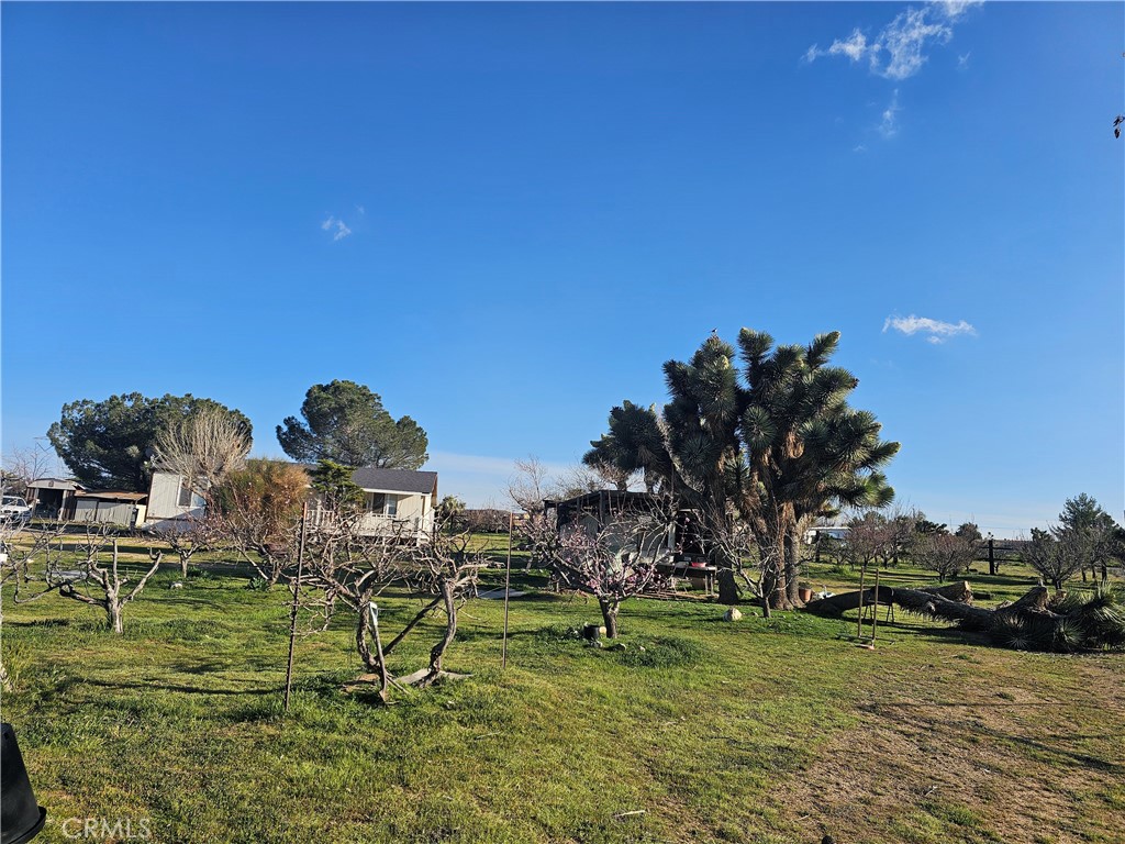 9878 Wilson Ranch Road Phelan, CA 92371 - Photo 22 of 27