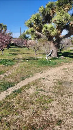 $349,000 | 9878 Wilson Ranch Road, Phelan, CA 92371