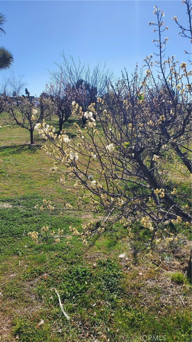 9878 Wilson Ranch Road Phelan, CA 92371 - Photo 27 of 27