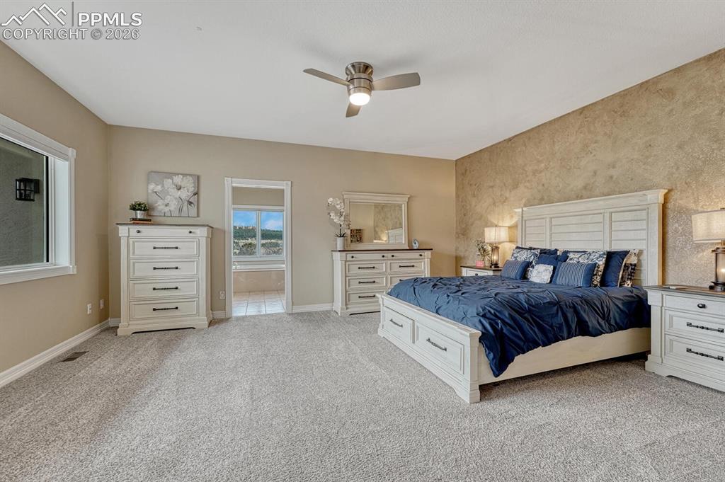 620 Forest View Way Monument, CO 80132 - Photo 20 of 48
