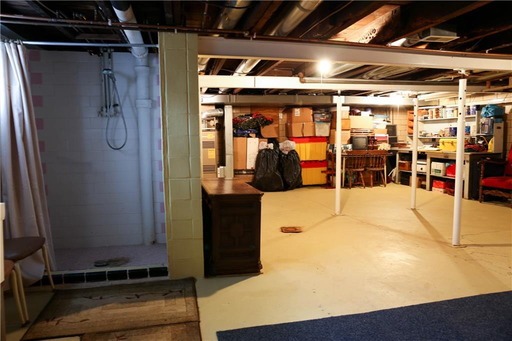 1150 Dutch Ridge Road Beaver, PA 15009 - Photo 21 of 22 Clean & Dry Basement with Shower Stall.