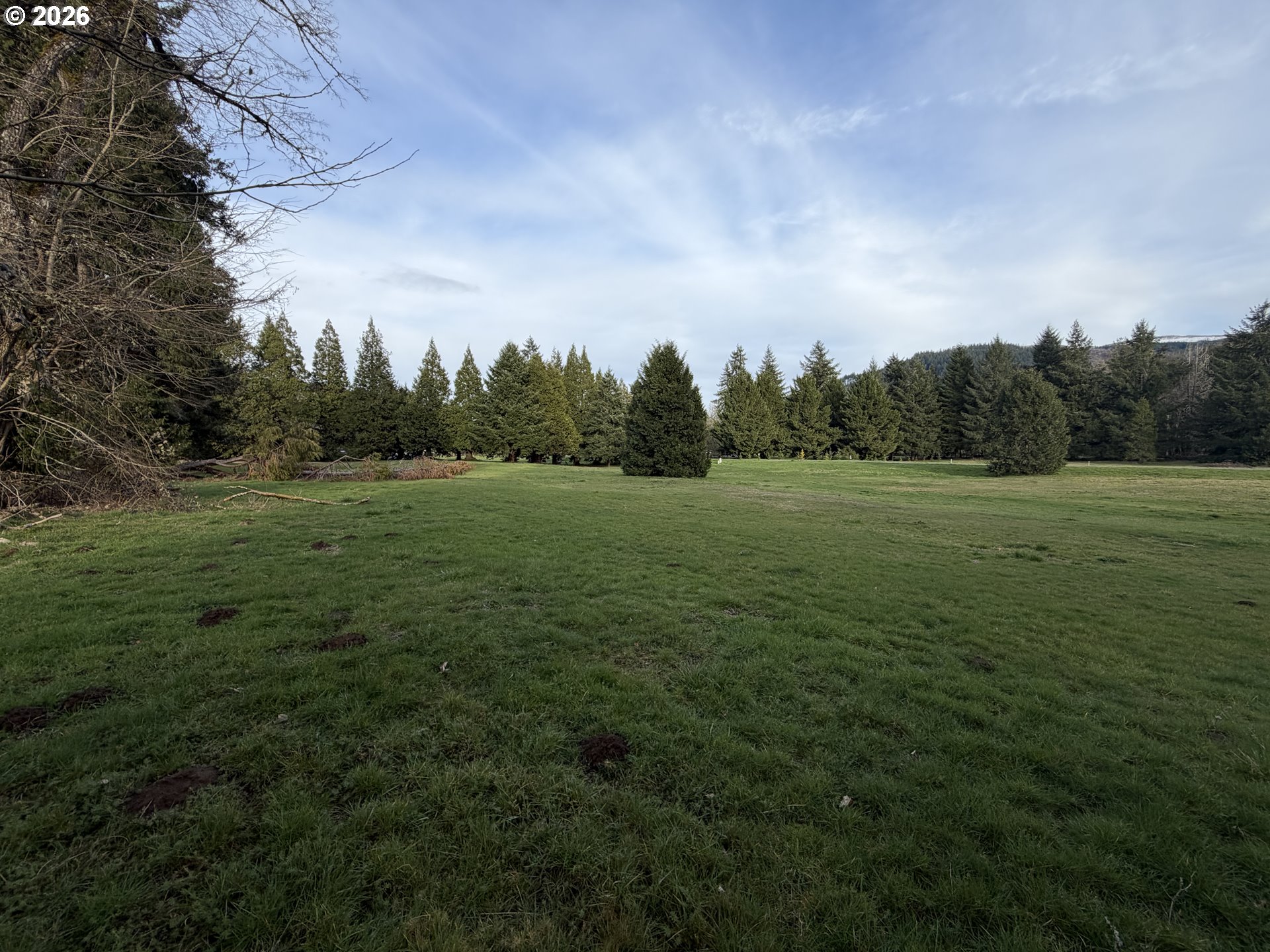 0 Omlid Drive, Unit 11 Springfield, OR 97478 - Photo 17 of 20
