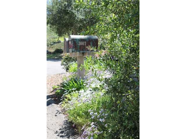 3667 Purer Road Escondido, CA 92029 - Photo 16 of 24 ENTER AT THE TWO RUSTIC MAILBOXES TO 3667 PURER RD.
