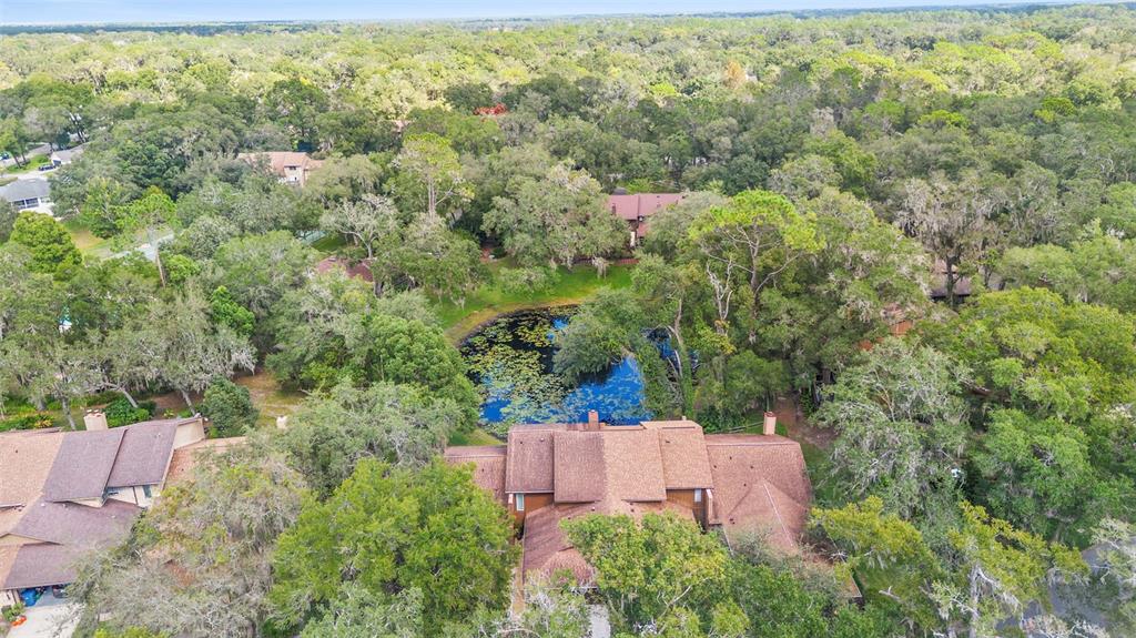 920 Shady Branch Trail DeLand, FL 32724 - Photo 8 of 46 an aerial view of a house with a yard