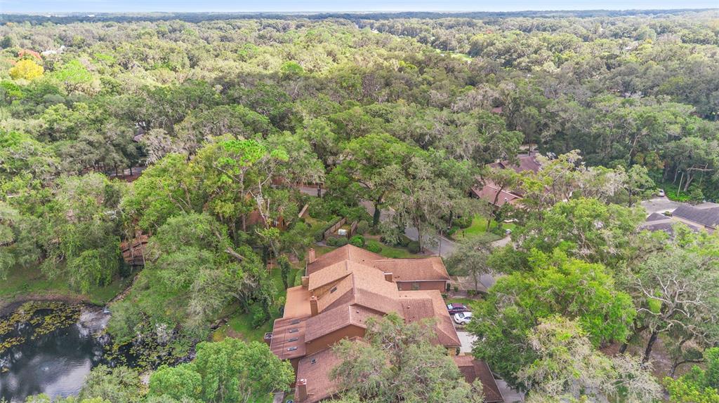 920 Shady Branch Trail DeLand, FL 32724 - Photo 10 of 46 an aerial view of residential house with outdoor space and trees all around