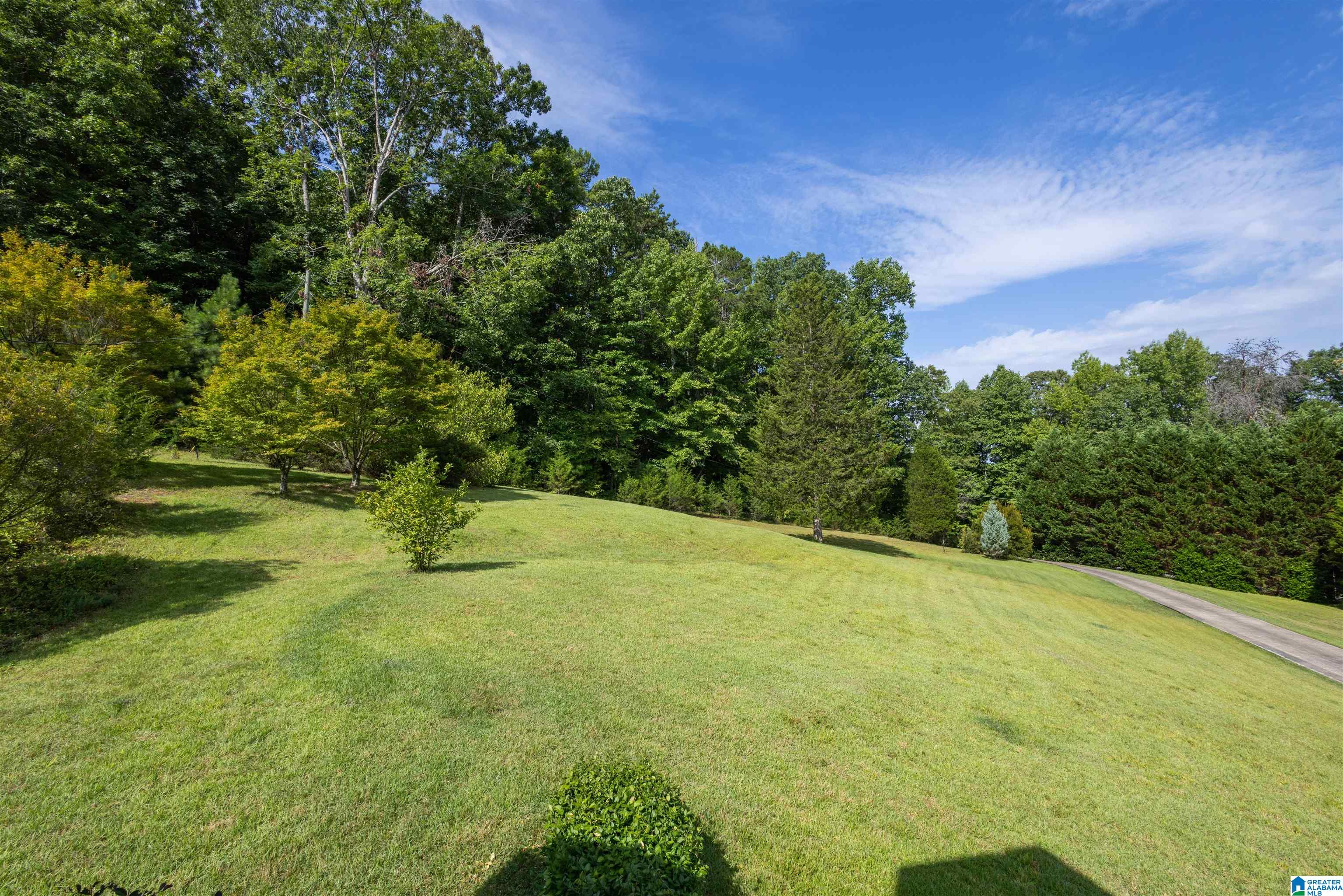 640 Beaver Ridge Circle Ashville, AL 35953 - Photo 5 of 45