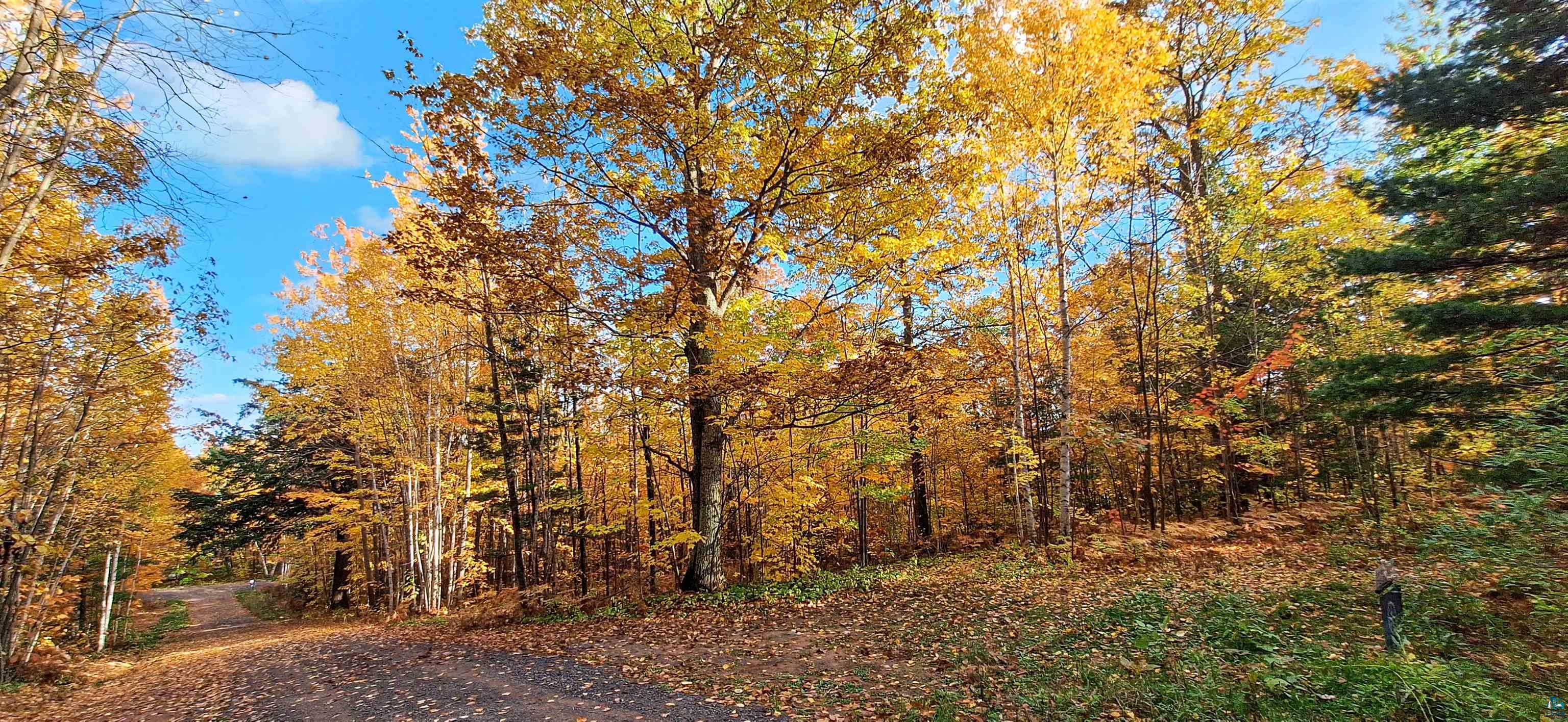 Xxx Apple Hill Road Bayfield, WI 54814 - Photo 16 of 18 Gallery Image 16
