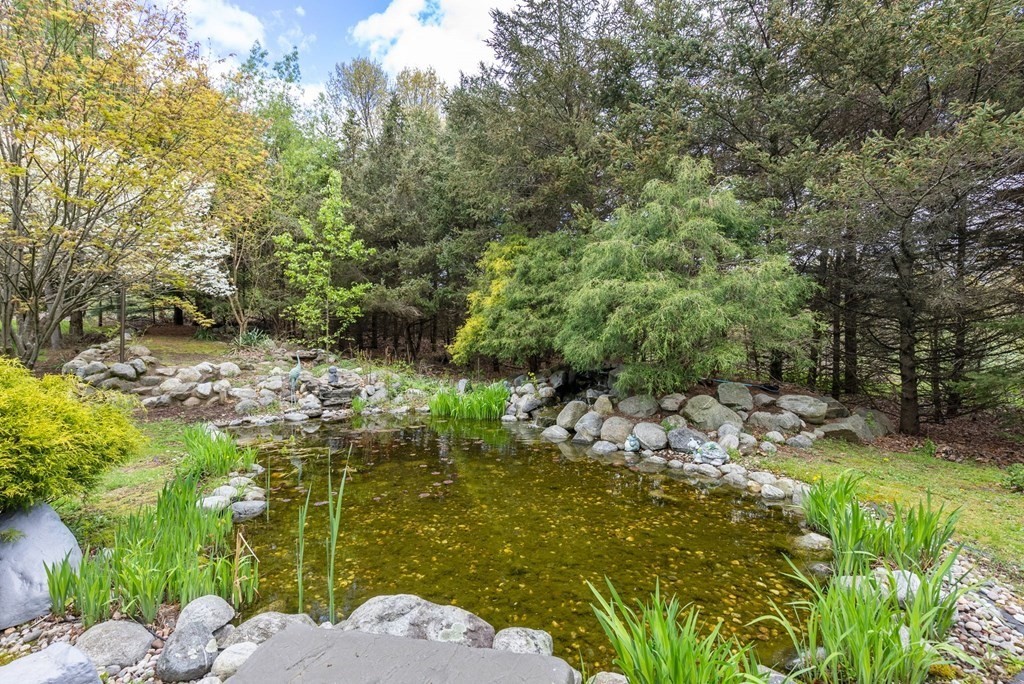 575 Piper Road West Springfield, MA 01089 - Photo 34 of 40 a view of a lake with large trees
