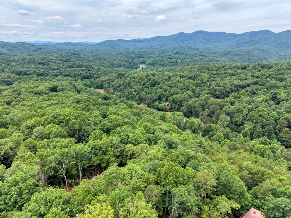 664 High Ridge Road Murphy, NC 28906 - Photo 39 of 42