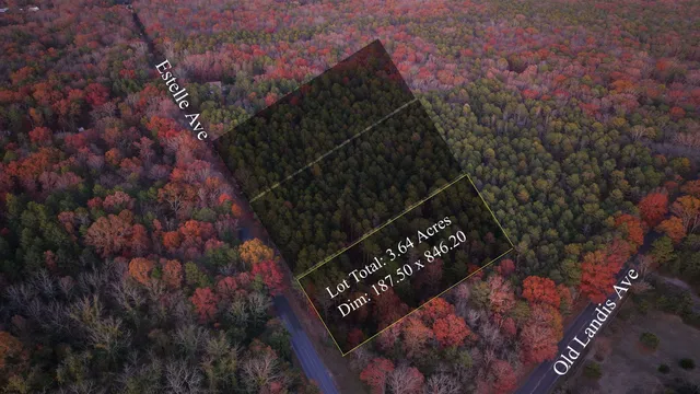 $27,500 | B:534-l:11.01 Estelle Avenue, Mays Landing, NJ 08330