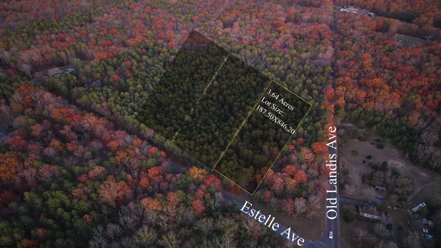 $27,500 | B:534-l:11.01 Estelle Avenue, Mays Landing, NJ 08330