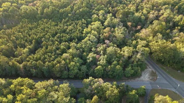 $27,500 | B:534-l:11.01 Estelle Avenue, Mays Landing, NJ 08330