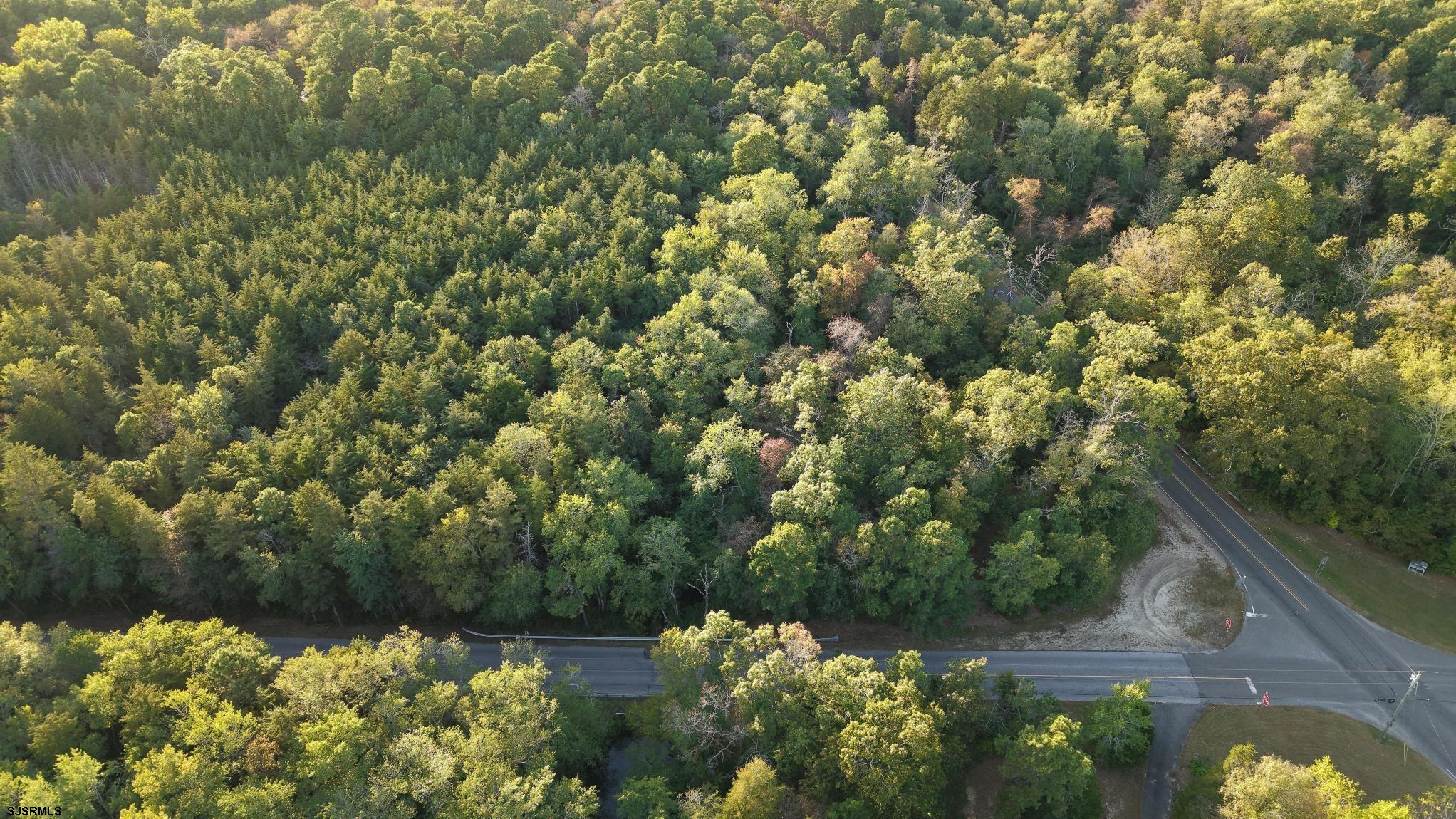 B:534-l:11.01 Estelle Avenue Mays Landing, NJ 08330 - Photo 6 of 6 a view of a lake with a tree