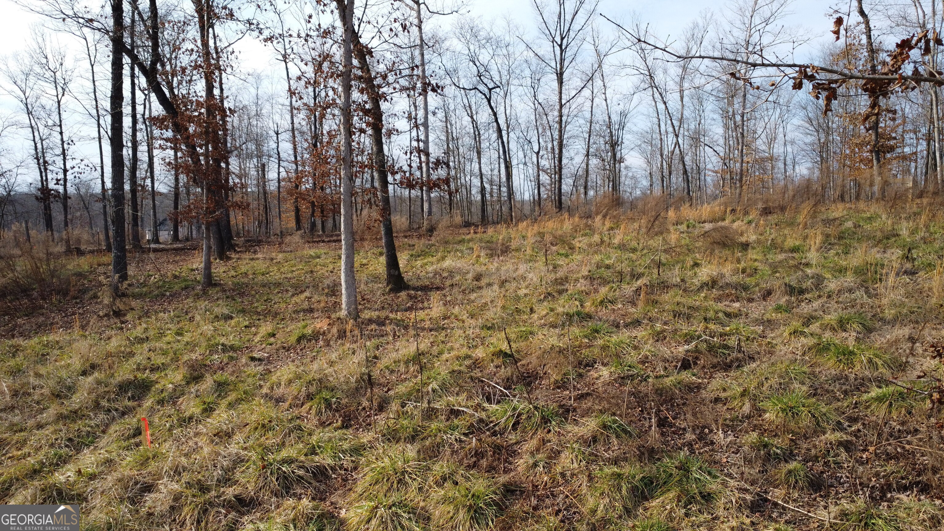 1.71-acres Garrison Road Cornelia, GA 30531 - Photo 1 of 1