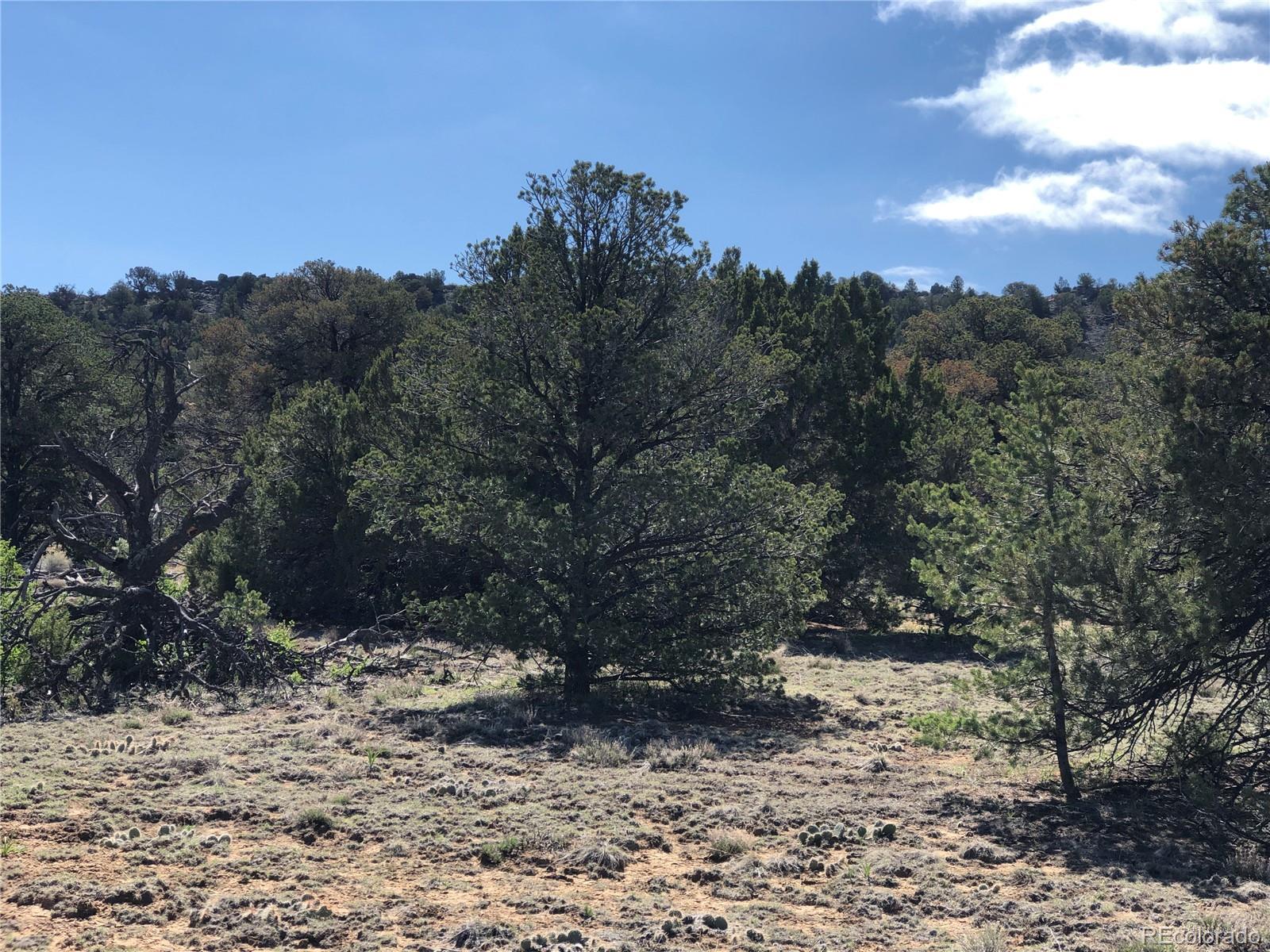 Lot 936 Rio Cucharas Phs, Unit 3 Walsenburg, CO 81089 - Photo 9 of 20 a view of a yard