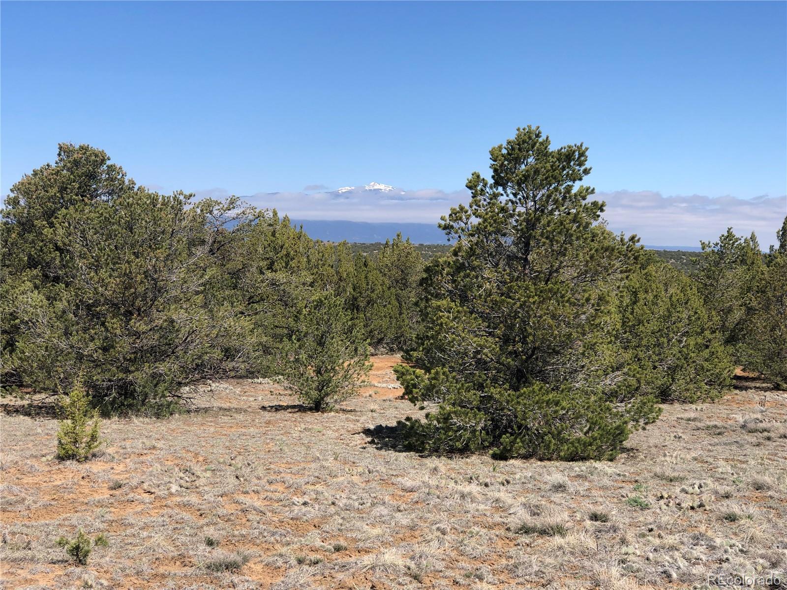 Lot 936 Rio Cucharas Phs, Unit 3 Walsenburg, CO 81089 - Photo 10 of 20 a view of a yard with a tree