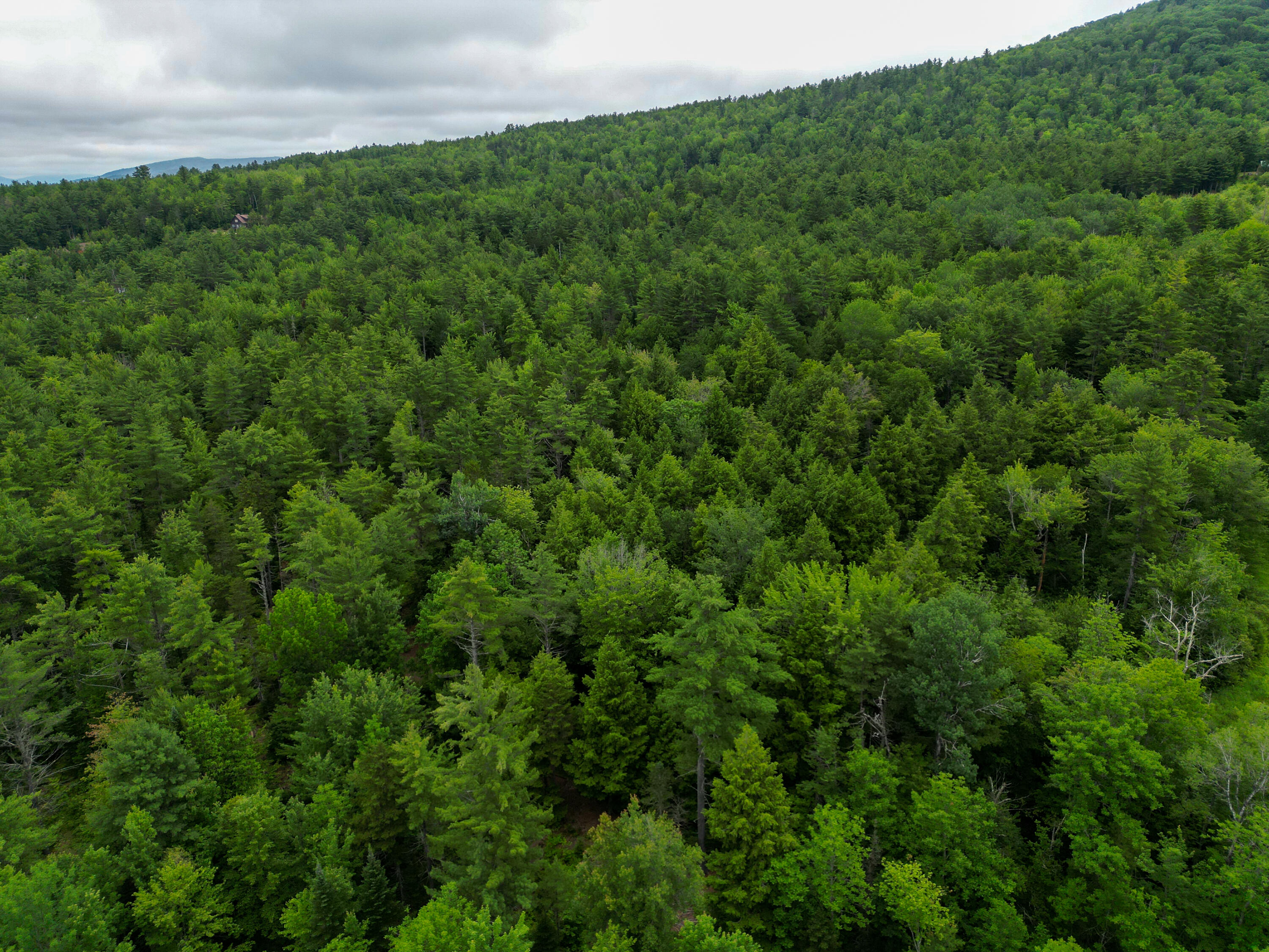 Lot 30 Irish Neighborhood Road Bethel, ME 04217 - Photo 6 of 24 DJI_0611