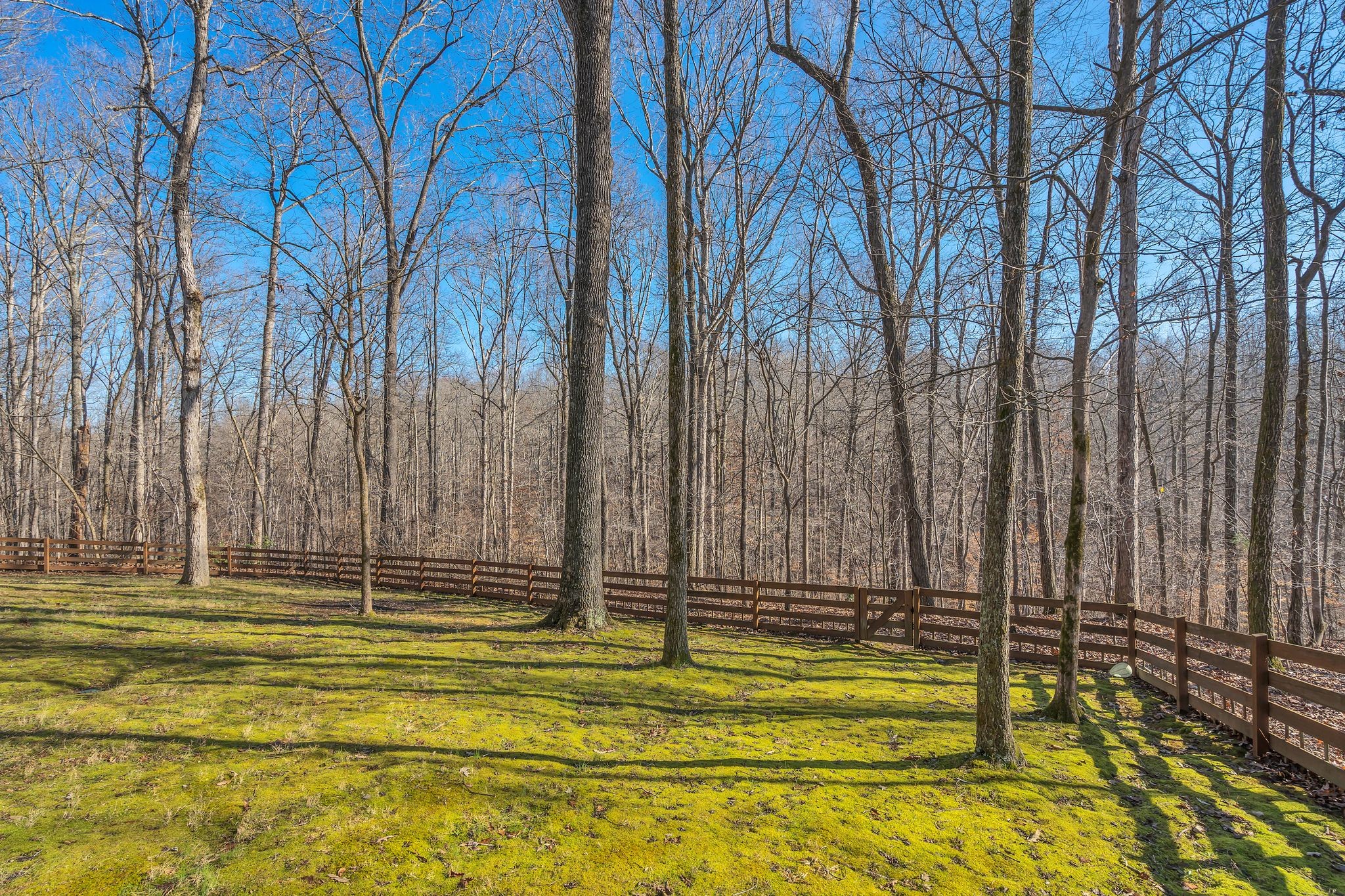 1365 Campbell Ridge Road Kingston Springs, TN 37082 - Photo 27 of 28 a view of swimming pool