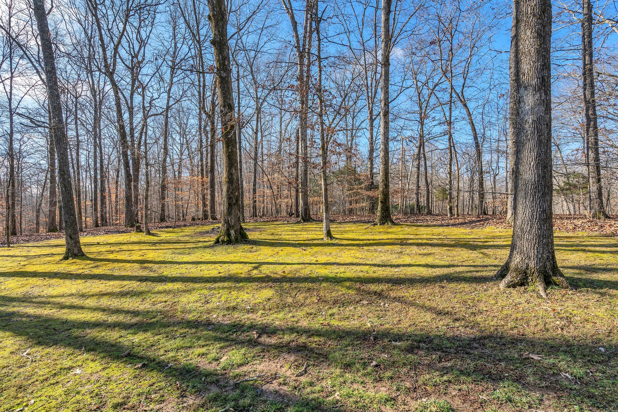 1365 Campbell Ridge Road Kingston Springs, TN 37082 - Photo 3 of 28 a view of swimming pool with an outdoor space