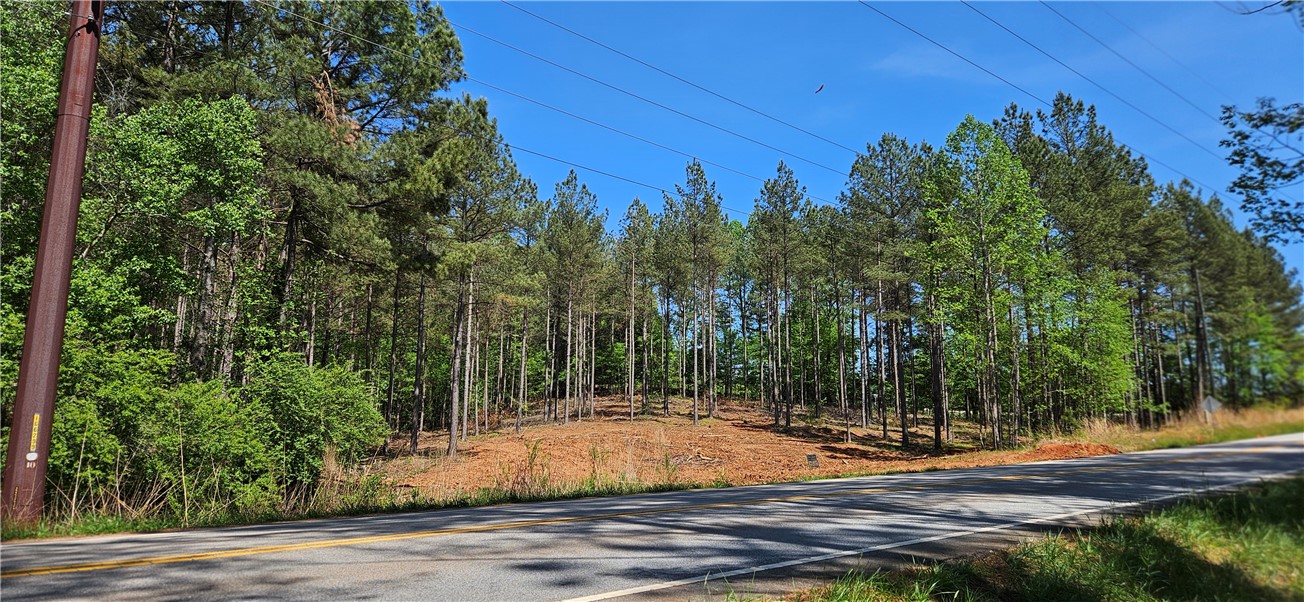 This verdant lot offers a serene setting for a future residence, surrounded by mature trees.