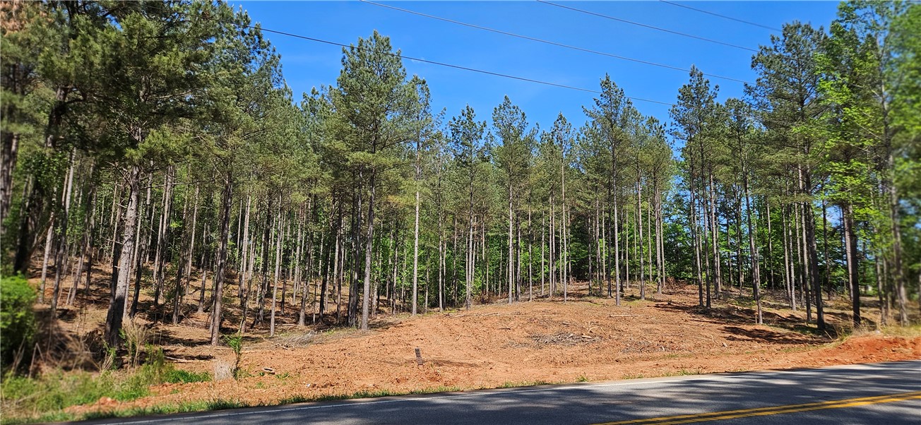 0 Burns Mill Road West Union, SC 29696 - Photo 3 of 10 This lot offers a prime opportunity for a new home, surrounded by mature trees.