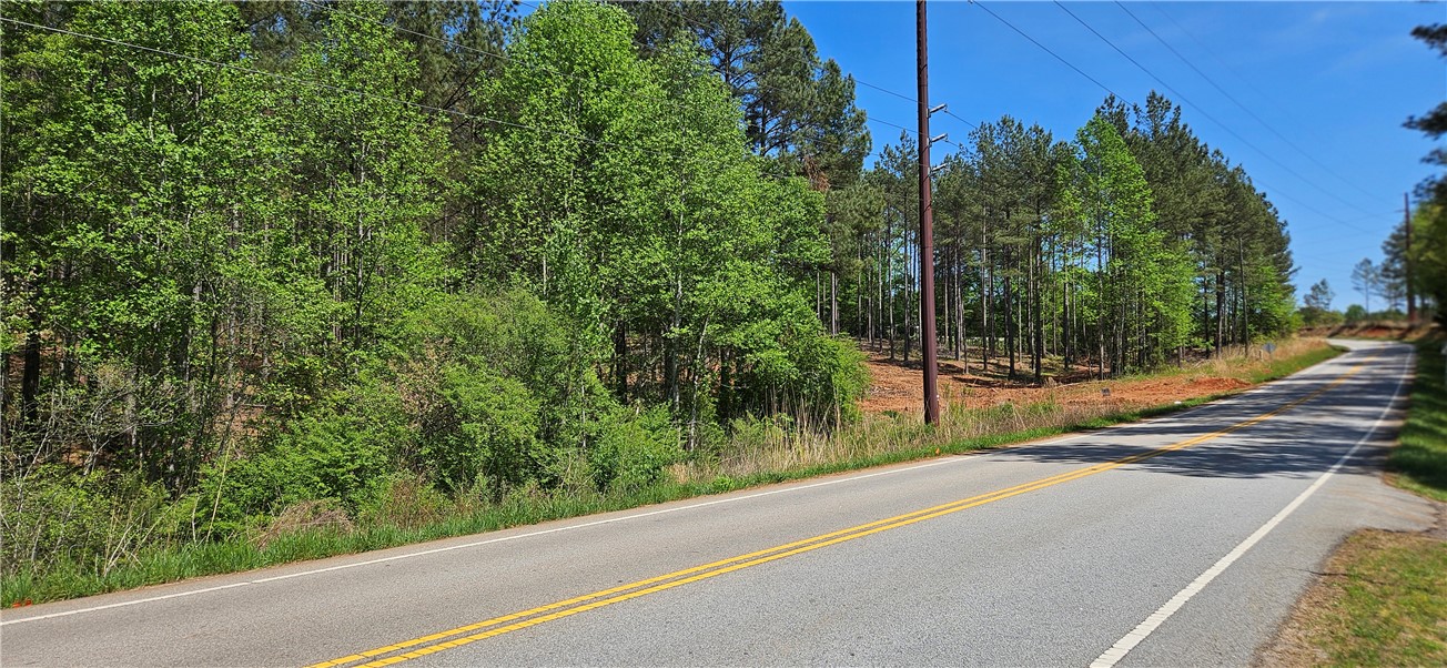 0 Burns Mill Road West Union, SC 29696 - Photo 8 of 10 This expansive lot offers a tranquil escape with mature trees lining a peaceful country road.