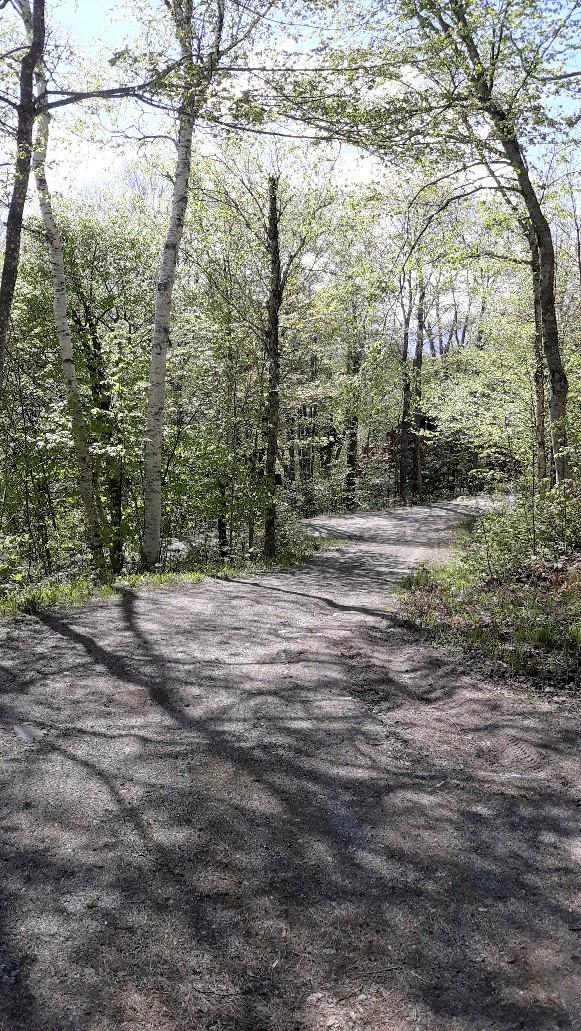 2027 Ridgeview Road Kingfield, ME 04947 - Photo 22 of 23 Driveway