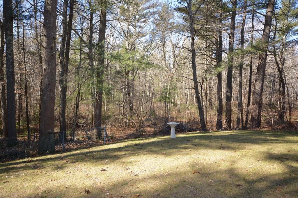 8 Betty Spring Road Freetown, MA 02717 - Photo 9 of 39 a view of a yard with large trees