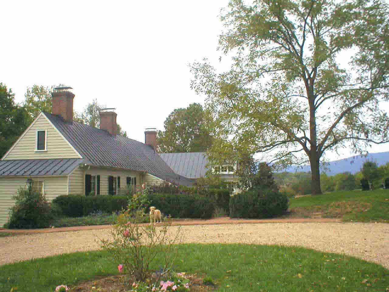 240 Broad Axe Road Charlottesville, VA 22903 - Photo 1 of 1 a front view of a house with a yard and trees