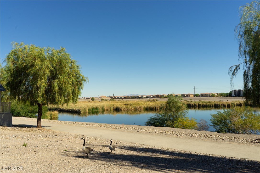 169 Fulgora Street Henderson, NV 89074 - Photo 33 of 37 CornerStone Park