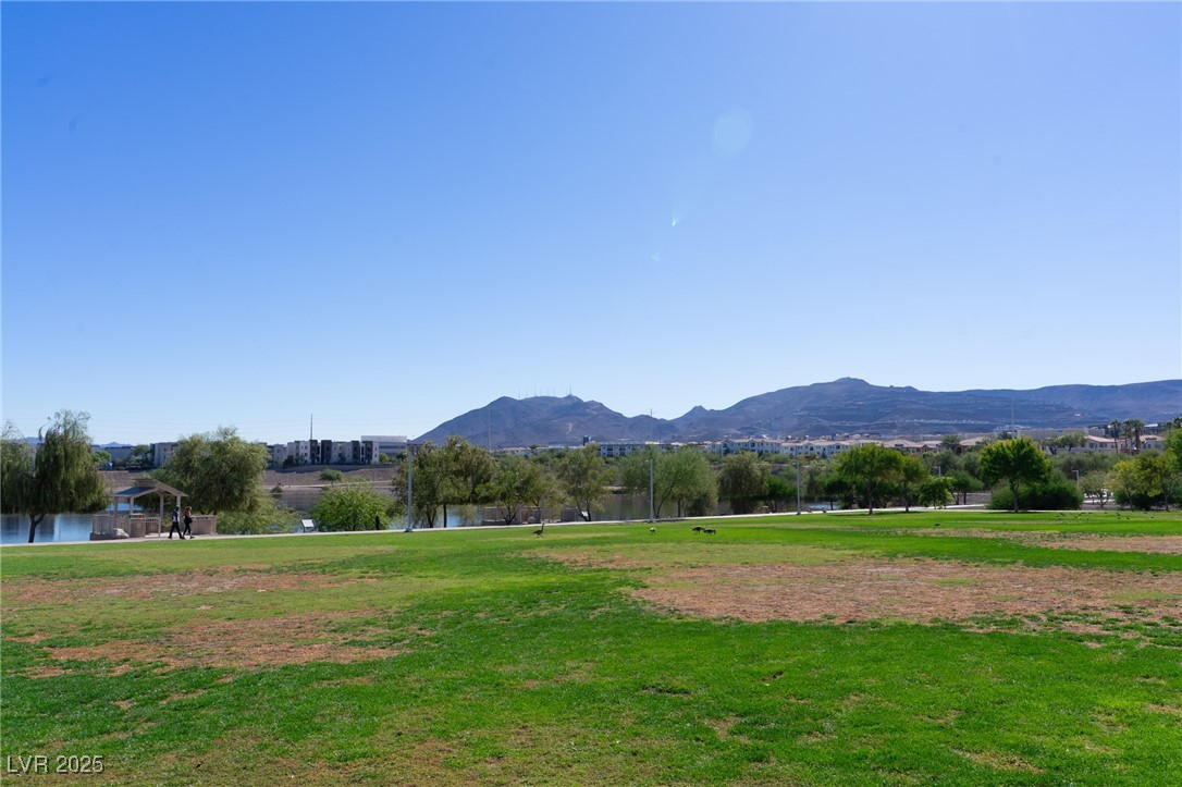 169 Fulgora Street Henderson, NV 89074 - Photo 35 of 37 CornerStone Park