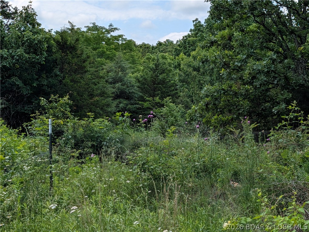 199 Spring Road Montreal, MO 65591 - Photo 39 of 57