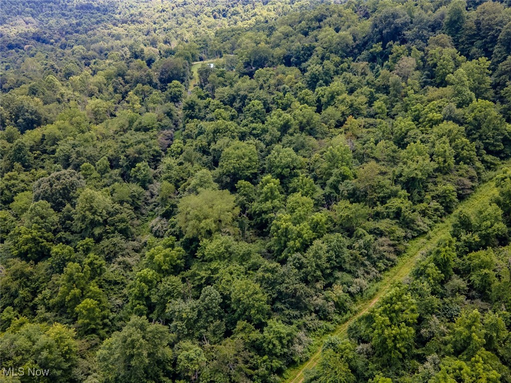 0 Mill St Road Quaker City, OH 43773 - Photo 15 of 23 Aerial view of property's location featuring a forest
