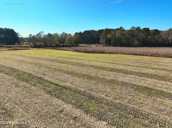 $250,000 | 15.63 Croomsbridge Road, Burgaw, NC 28425