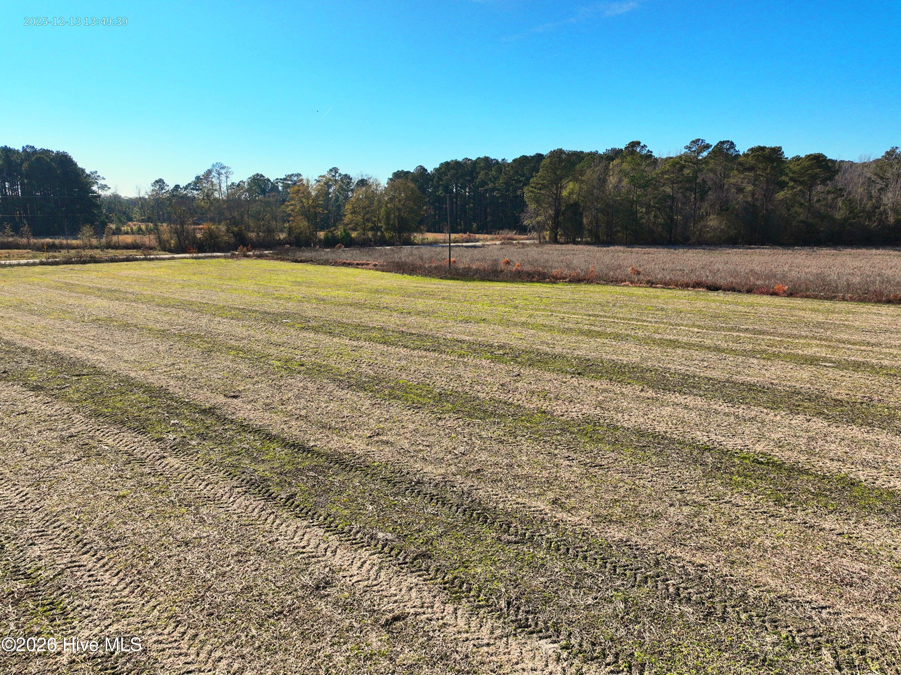 15.63 Croomsbridge Road Burgaw, NC 28425 - Photo 11 of 12 Copy of DJI_20251213134939_0045_V