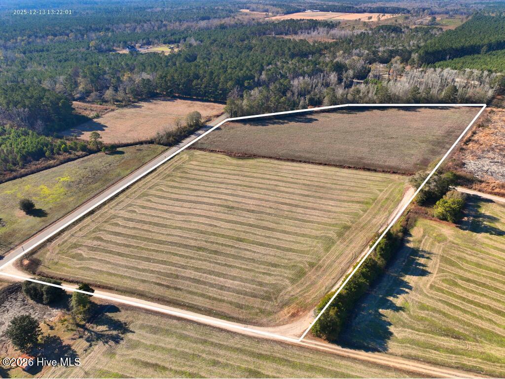 15.63 Croomsbridge Road Burgaw, NC 28425 - Photo 2 of 12 Aerial 1