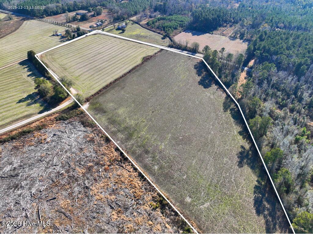 15.63 Croomsbridge Road Burgaw, NC 28425 - Photo 3 of 12 Image 3