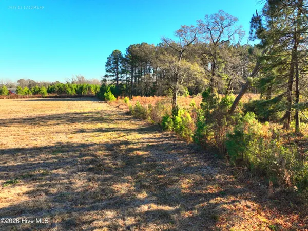 $250,000 | 15.63 Croomsbridge Road, Burgaw, NC 28425
