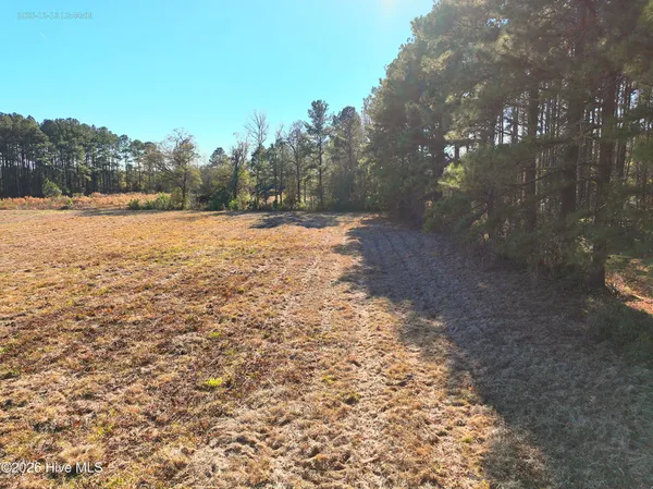 $250,000 | 15.63 Croomsbridge Road, Burgaw, NC 28425