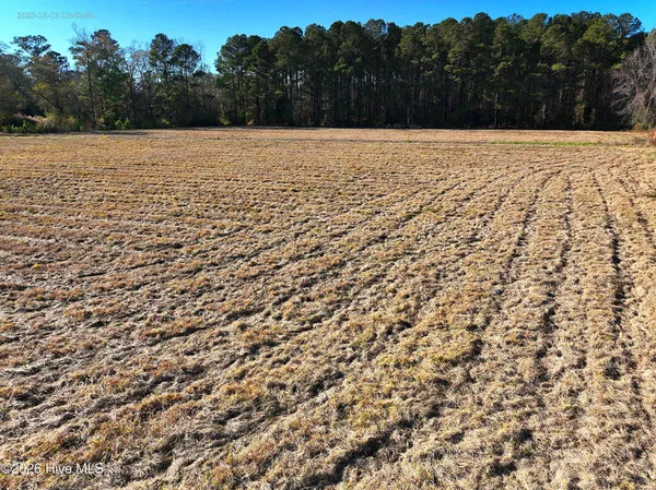 $250,000 | 15.63 Croomsbridge Road, Burgaw, NC 28425