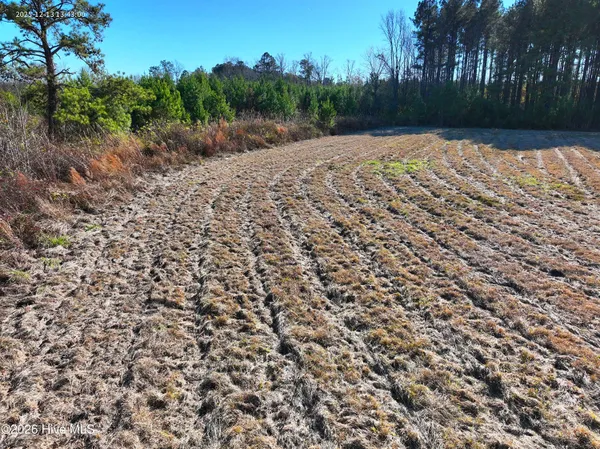 $250,000 | 15.63 Croomsbridge Road, Burgaw, NC 28425