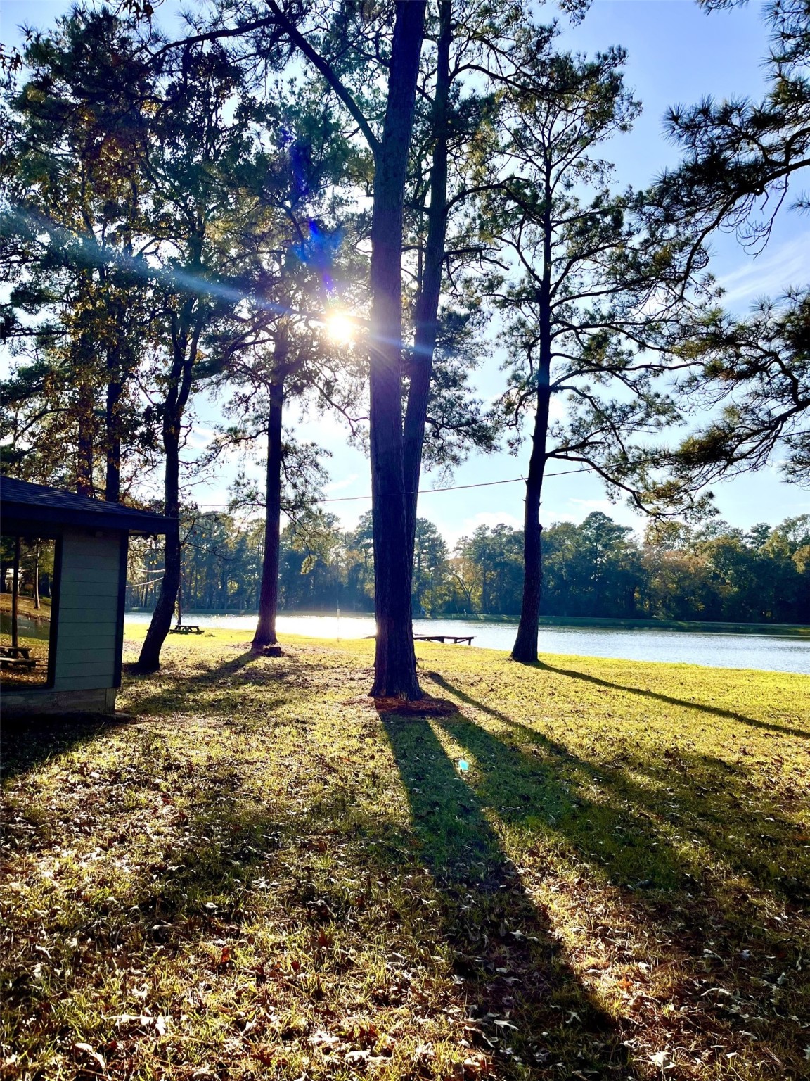 26870 Lazy Lane Magnolia, TX 77355 - Photo 14 of 18 a view of a yard with a tree