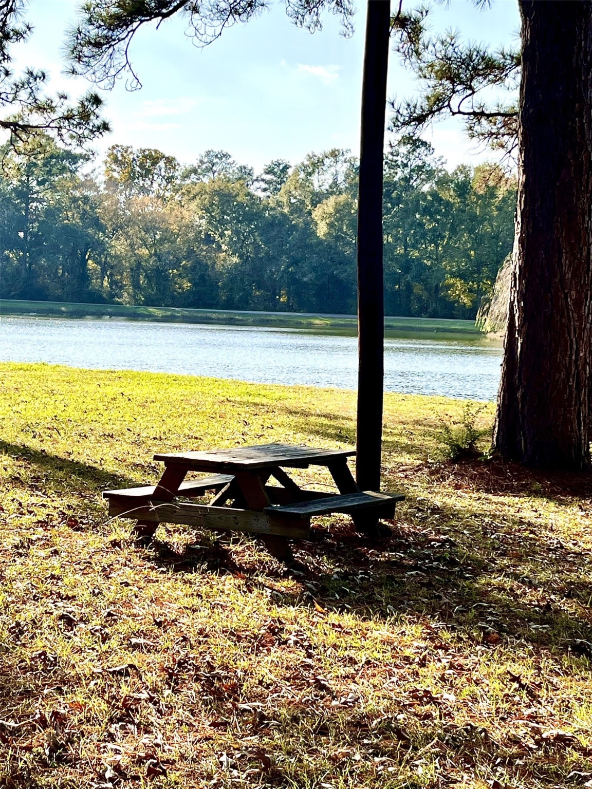 26870 Lazy Lane Magnolia, TX 77355 - Photo 17 of 18 a view of a ocean view
