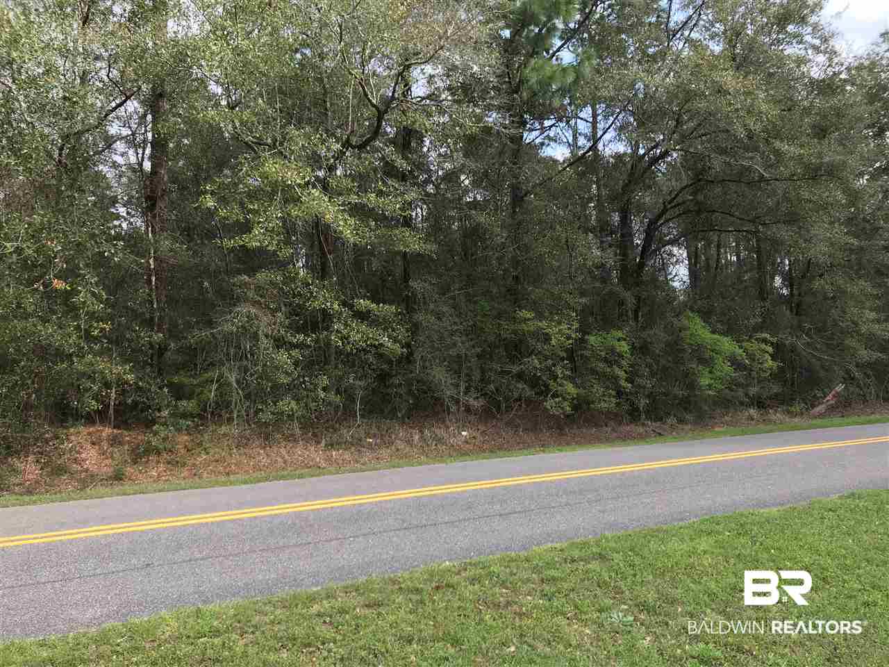 0 Howells Ferry Road Wilmer, AL 36587 - Photo 2 of 6