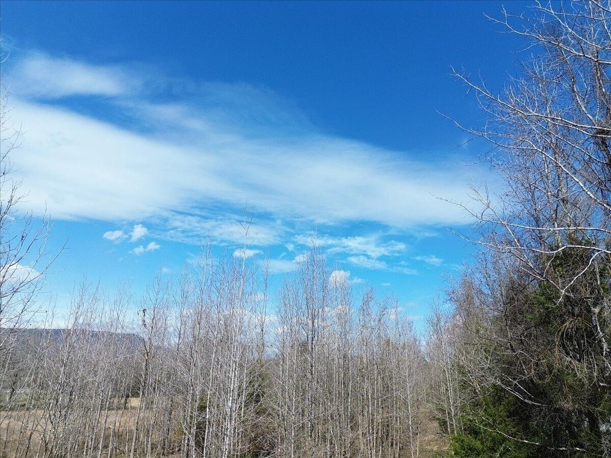 0 Francis Spring Road Jasper, TN 37347 - Photo 11 of 43 11-DJI_0003