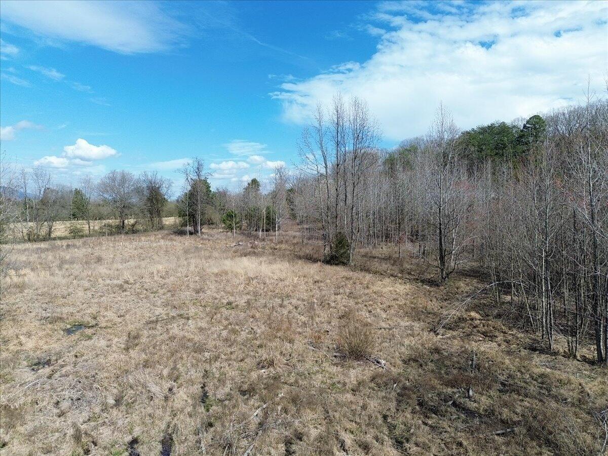 0 Francis Spring Road Jasper, TN 37347 - Photo 14 of 43 14-DJI_0004