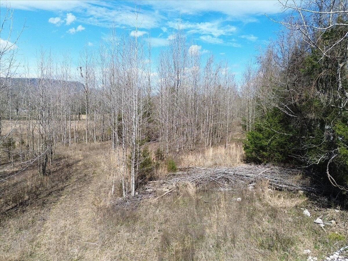 0 Francis Spring Road Jasper, TN 37347 - Photo 15 of 43 15-DJI_0004